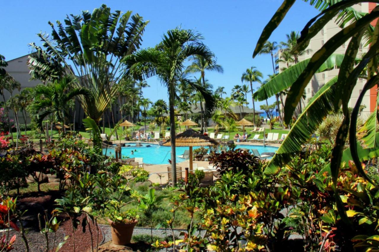 Villa Kaanapali Shores 647 Extérieur photo